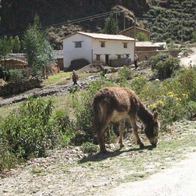 Sacred Valley Tours Peru