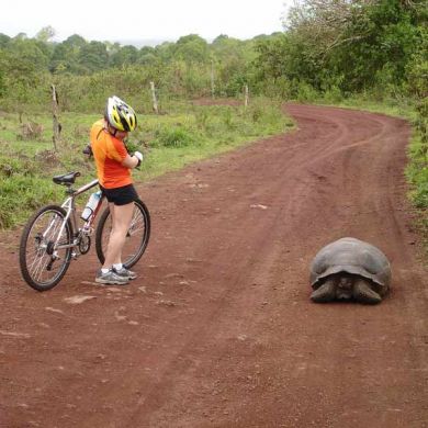 Biking Trips Galapagos Islands