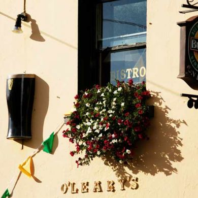 Irish Pubs Guinness Sign