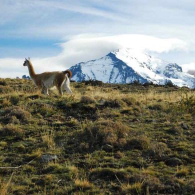 Chile Patagonia Typical Scenery