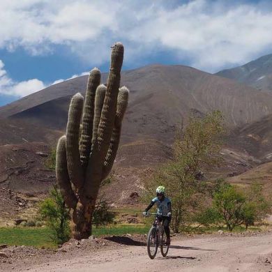 Cycling Trips Salta Argentina 