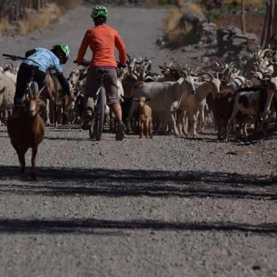 Guided Biking Tours Salta Argentina 