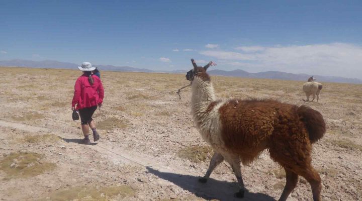 Hiking Trips in Salta Argentina