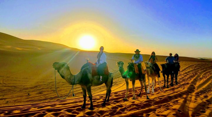 Camel riding through the Sahara desert at sunset