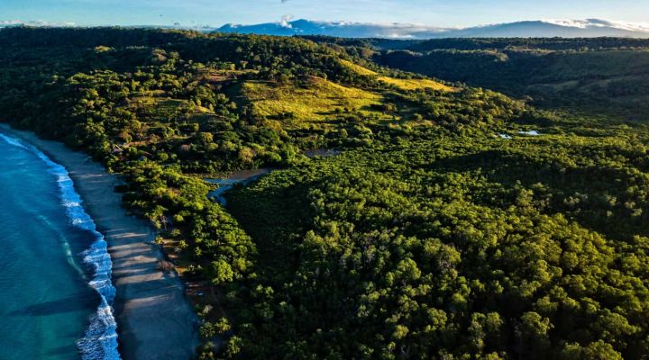 forest by body of water and beach in Costa Rica