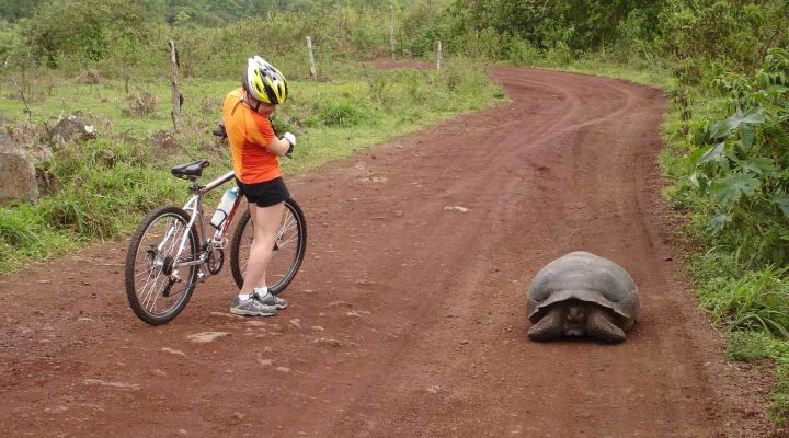 Bike Tours On The Galapagos Islands Ecuador