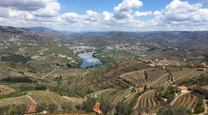 Portugal Wine Valley