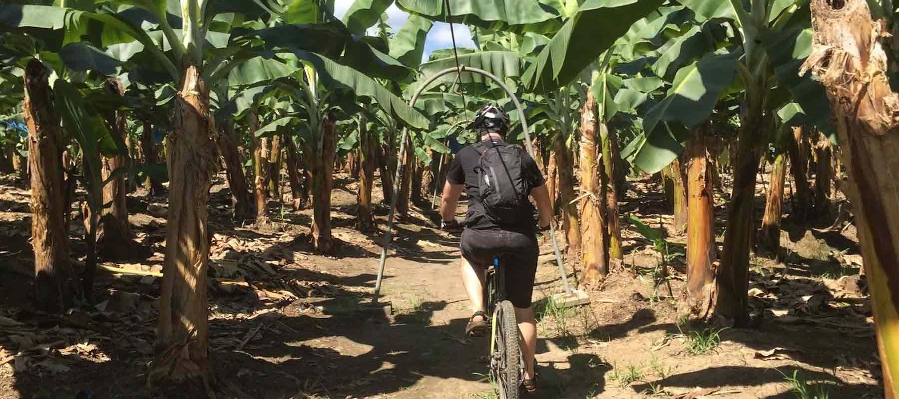 Biking costa rica forests