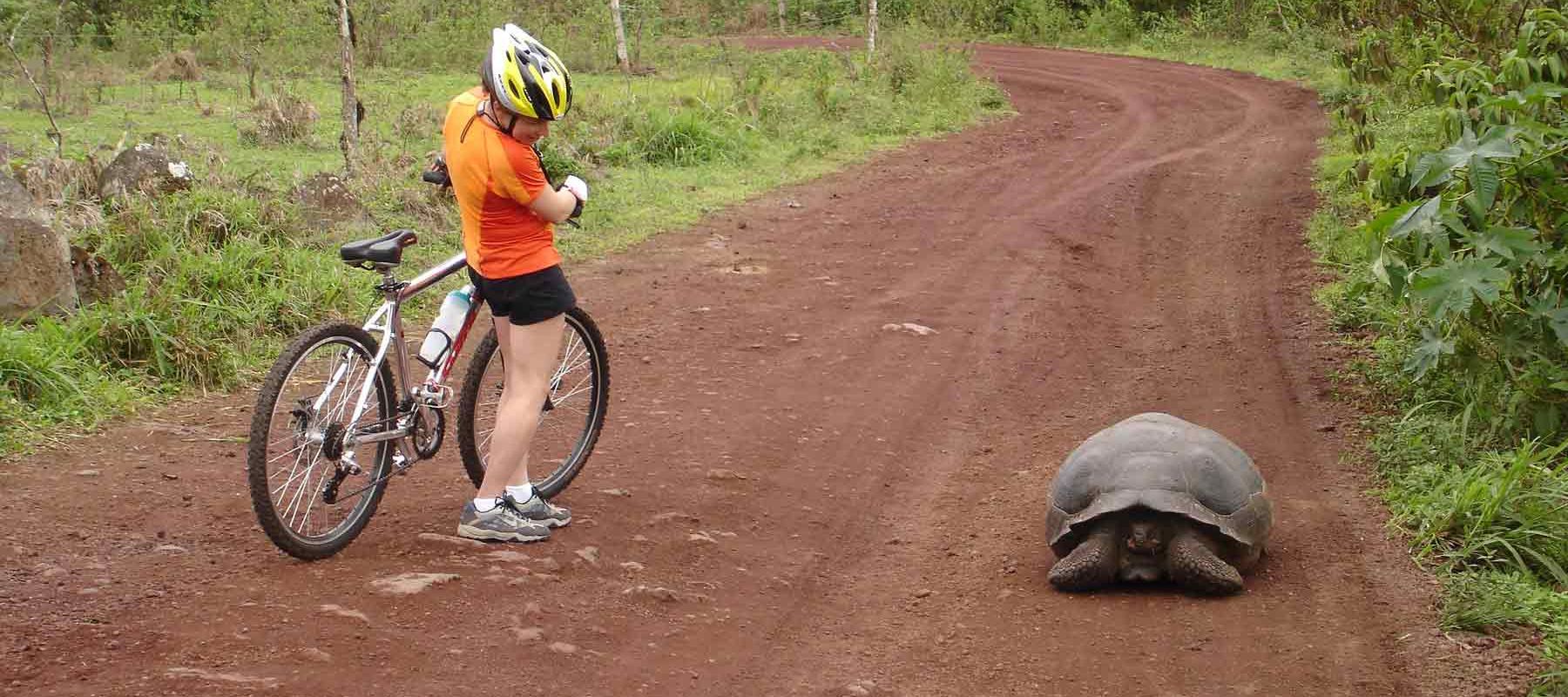 Bike Tours On The Galapagos Islands Ecuador