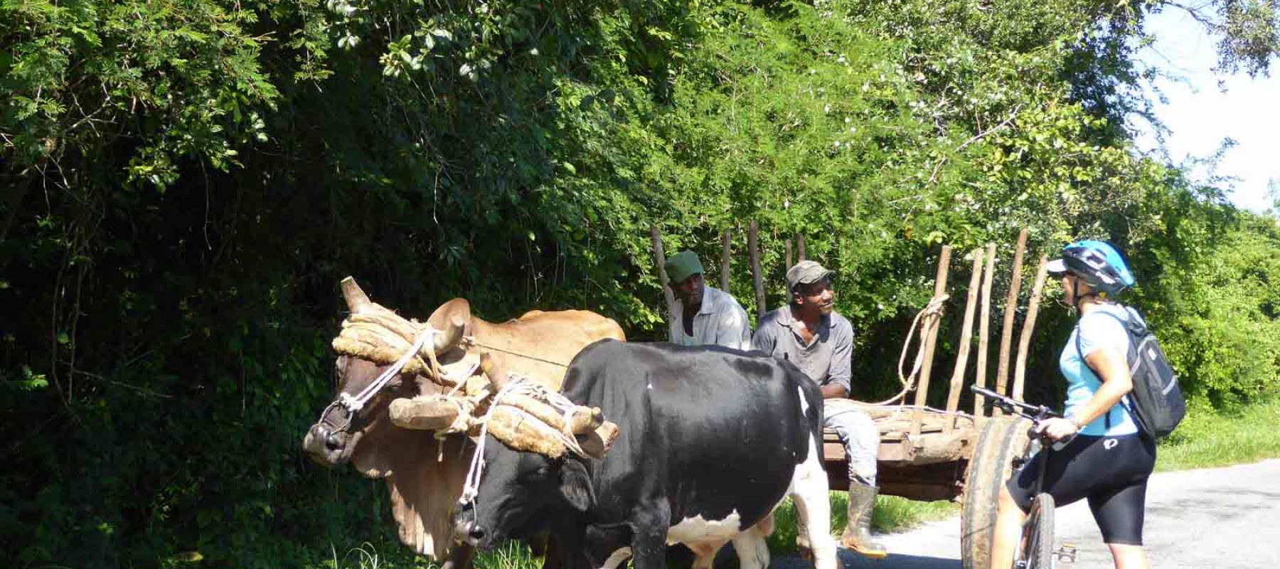 Horse drawn cart in Cuba