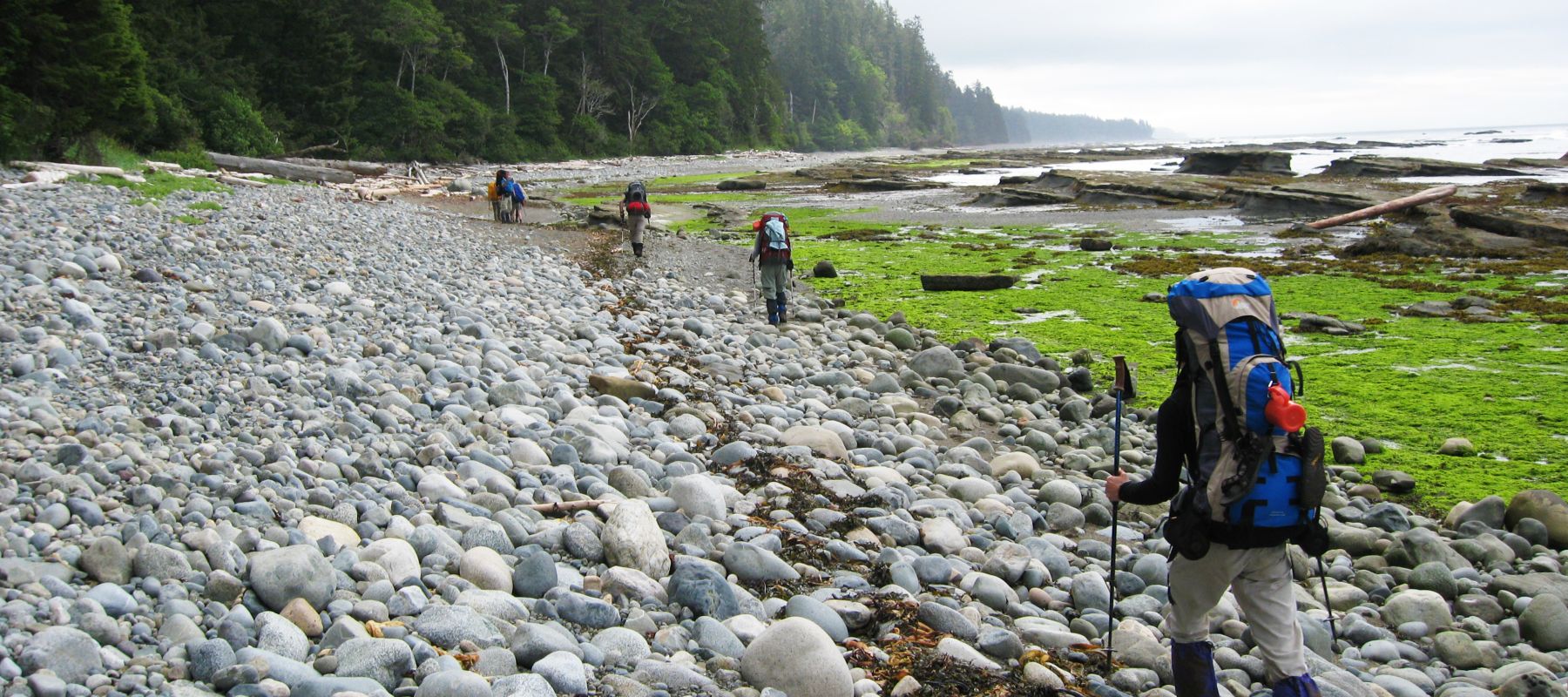 hiking the west coast trail
