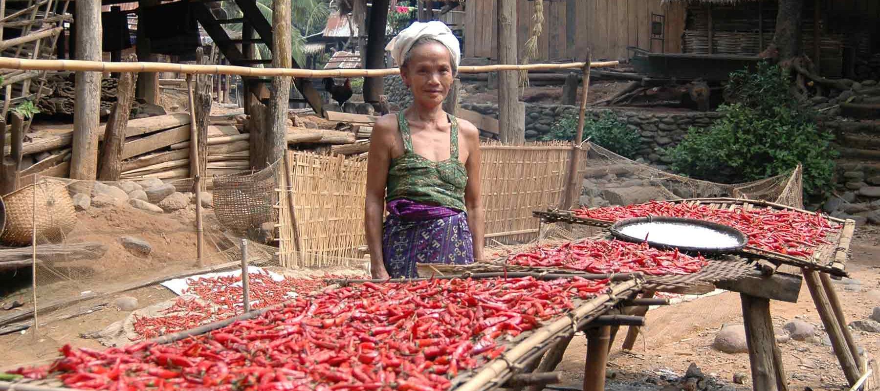 Vietnam Local Market and food stalls