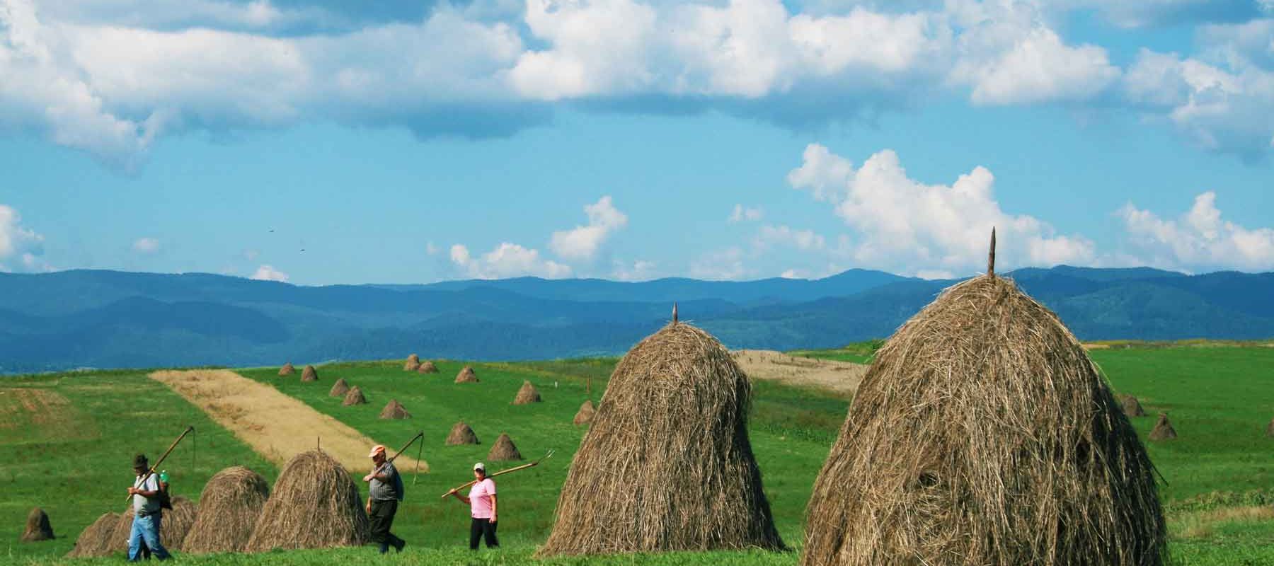 Hiking in Transylvania Romania 