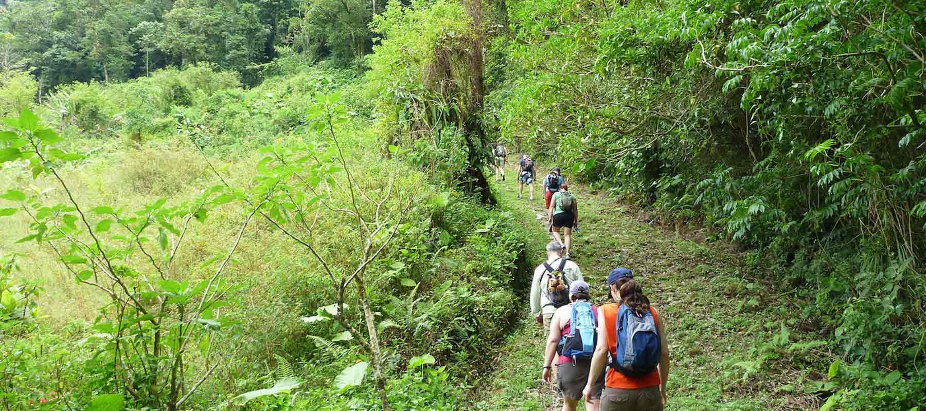 Hiking Tours and Adventures in Panama