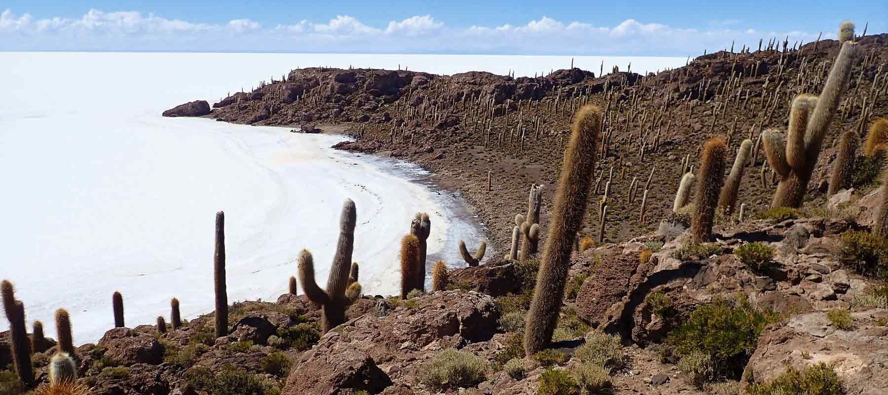 Bolivia Landmass